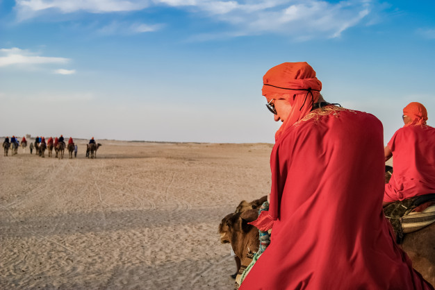 How to Book the Best Camel Ride in Dubai