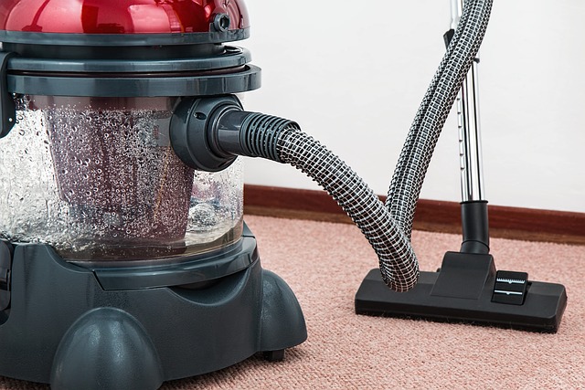 Tips for Choosing the Best Professional Carpet Cleaners