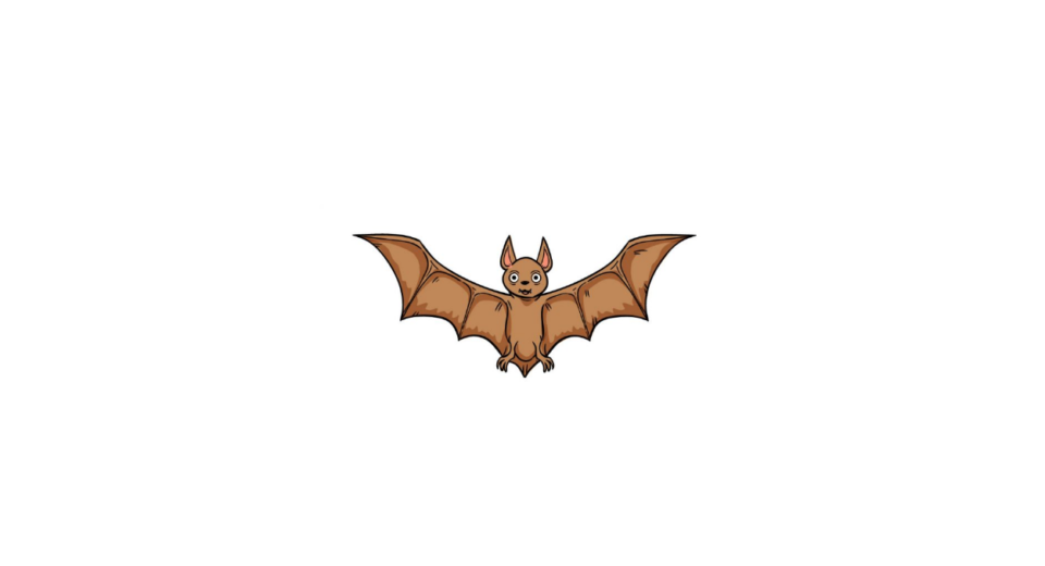 Draw A Bat