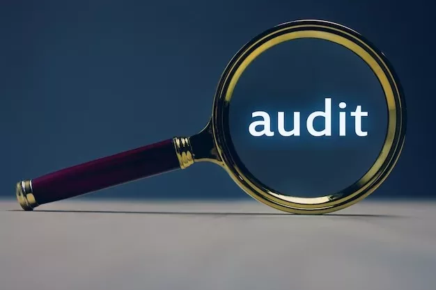 Supplier Audits Redefined: Your Competitive Edge