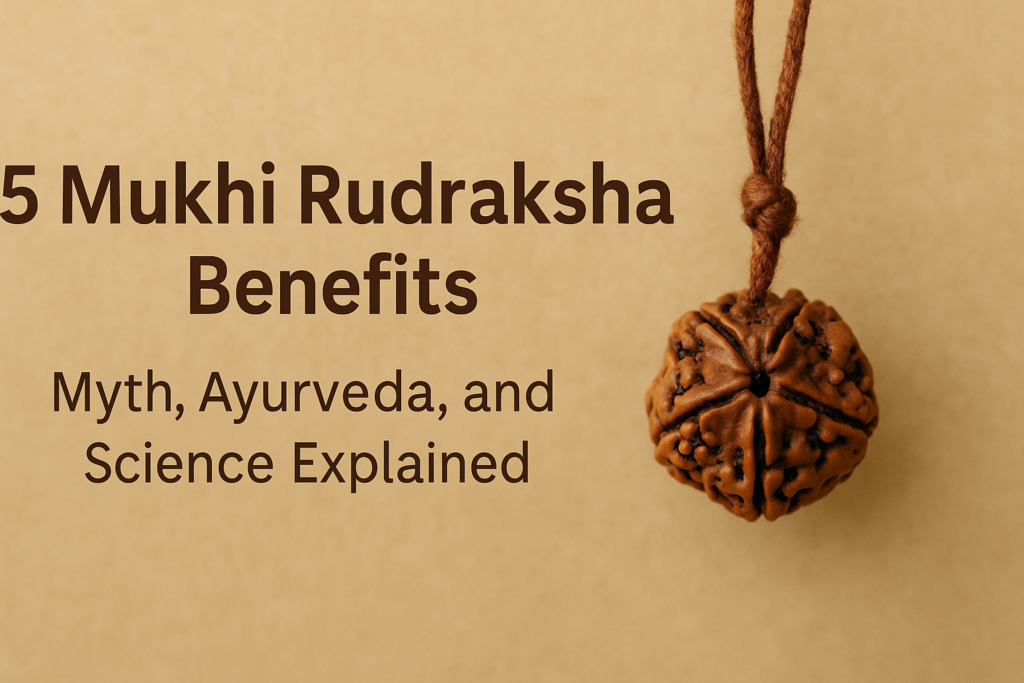 5 mukhi rudraksha benefits